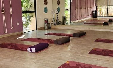 Casa en Venta Residencial Aire Puro 4 habitaciones.