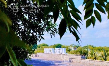 Terrenos en Venta en Finca Real, Costa Verde