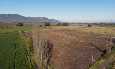 Se venden 12.5 hectáreas en Colchagua