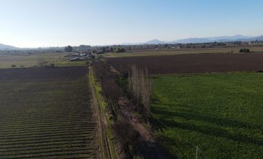 Se venden 12.5 hectáreas en Colchagua