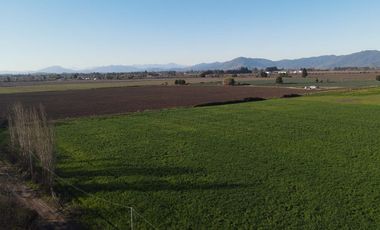 Se venden 12.5 hectáreas en Colchagua