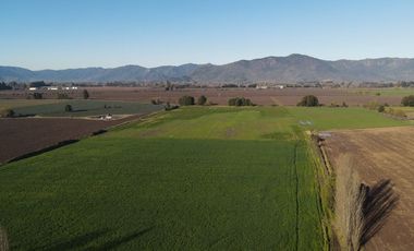 Se venden 12.5 hectáreas en Colchagua