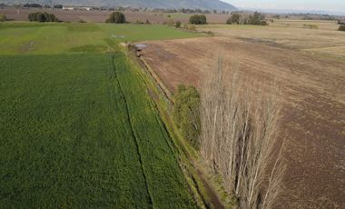 Se venden 12.5 hectáreas en Colchagua