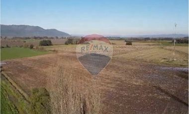 Se venden 12.5 hectáreas en Colchagua