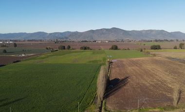 Se venden 12.5 hectáreas en Colchagua