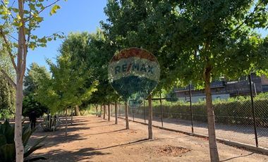 PARCELA CON CASA EN REQUEGUA SAN VICENTE T T