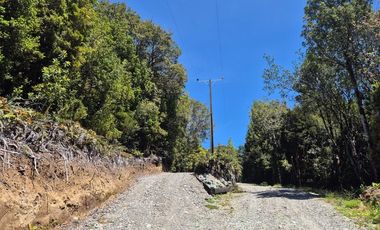 PARCELA BOSQUE NATIVO, INVERSIONISTAS!! CHILOE