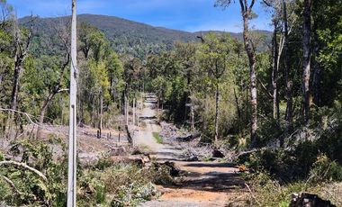 PARCELA BOSQUE NATIVO, INVERSIONISTAS!! CHILOE