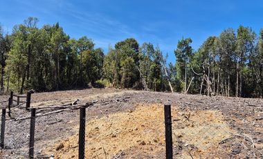 PARCELA BOSQUE NATIVO, INVERSIONISTAS!! CHILOE