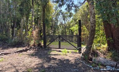 PARCELA PURO BOSQUE HUILLINCO CHILOE