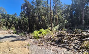 PARCELA PURO BOSQUE HUILLINCO CHILOE