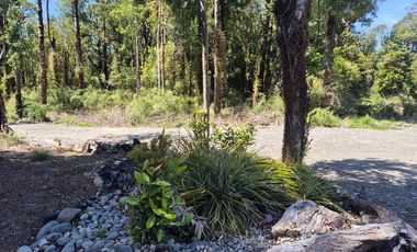 PARCELA PURO BOSQUE HUILLINCO CHILOE