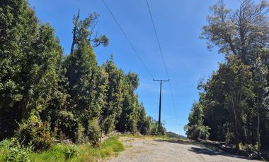 PARCELA PURO BOSQUE HUILLINCO CHILOE