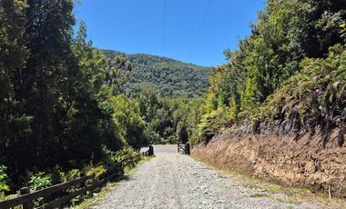 PARCELA PURO BOSQUE HUILLINCO CHILOE