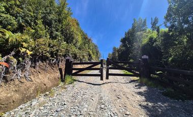 PARCELA PURO BOSQUE HUILLINCO CHILOE
