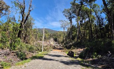 PARCELA PURO BOSQUE HUILLINCO CHILOE
