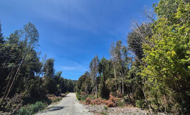 PARCELA PURO BOSQUE HUILLINCO CHILOE