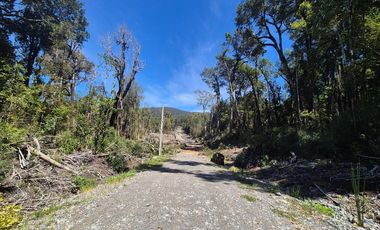 PARCELA PURO BOSQUE HUILLINCO CHILOE