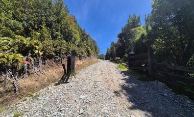PARCELA EN BOSQUE, INVERSION HUILLINCO CHILOE
