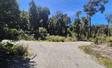 PARCELA EN BOSQUE, INVERSION HUILLINCO CHILOE