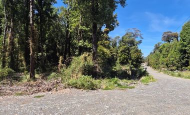 PARCELA EN BOSQUE, INVERSION HUILLINCO CHILOE