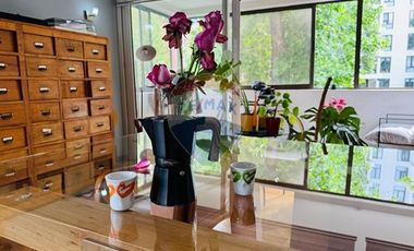 Gran departamento iluminado en Ricardo Lyon