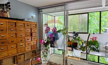 Gran departamento iluminado en Ricardo Lyon