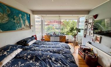 Gran departamento iluminado en Ricardo Lyon