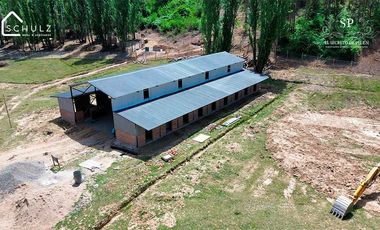 Parcela en venta  en CAUQUENES