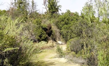 Parcela en Venta en La Isla- La Vega- Cuesta La Dormida, OLMUÉ