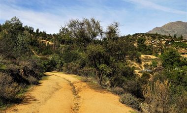 Parcela en Venta en La Isla- La Vega- Cuesta La Dormida, OLMUÉ