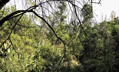 Parcela en Venta en La Isla- La Vega- Cuesta La Dormida, OLMUÉ