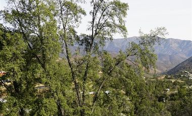 Parcela en Venta en La Isla- La Vega- Cuesta La Dormida, OLMUÉ