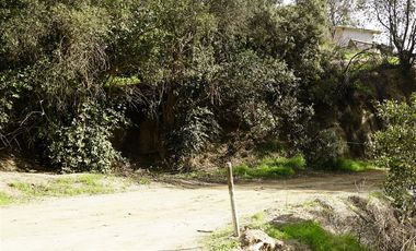 Parcela en Venta en La Isla- La Vega- Cuesta La Dormida, OLMUÉ