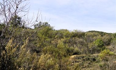 Parcela en Venta en La Isla- La Vega- Cuesta La Dormida, OLMUÉ