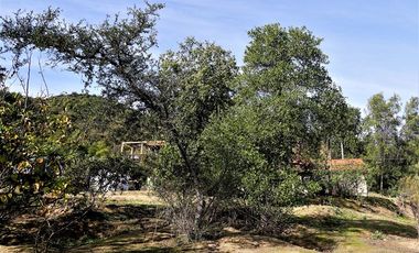 Parcela en Venta en La Isla- La Vega- Cuesta La Dormida, OLMUÉ