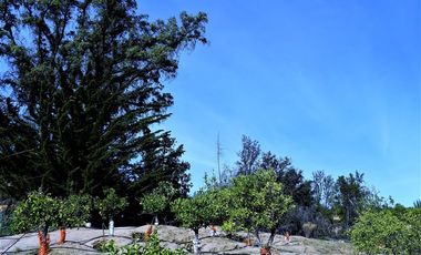 Parcela en Venta en La Isla- La Vega- Cuesta La Dormida, OLMUÉ