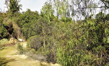 Parcela en Venta en La Isla- La Vega- Cuesta La Dormida, OLMUÉ