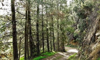 Parcela en Venta en La Isla- La Vega- Cuesta La Dormida, OLMUÉ