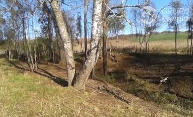 Parcela en Venta en Río Negró, Osorno región los Lagos