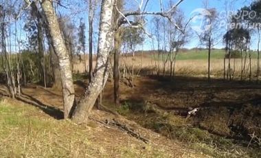 Parcela en Venta en Río Negró, Osorno región los Lagos