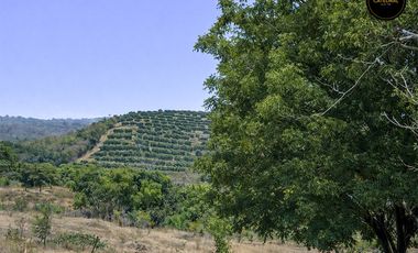 Quinta Hacienda de venta en Vía a la Costa – código:22259