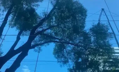 Edificio en renta en San Miguel Chapultepec I Sección, Miguel Hidalgo, Ciudad de México