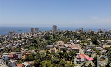 Departamento en Arriendo en Los Pinos | Sector Parque Los Ingleses