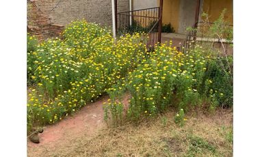 VALPARAISO - PLAYA ANCHA - CASA EN VENTA - 4D 2B