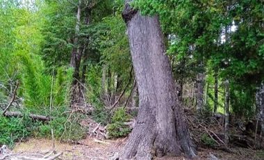 Parcela en Venta en Parcelación Valle Escondido, sector Las Peinetas