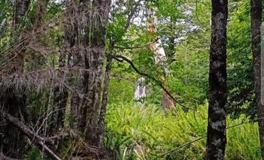 Parcela en Venta en Parcelación Valle Escondido, sector Las Peinetas