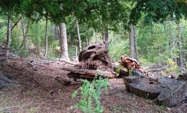 Parcela en Venta en Parcelación Valle Escondido, sector Las Peinetas