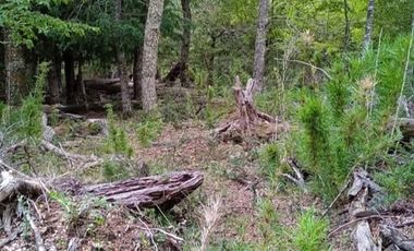 Parcela en Venta en Parcelación Valle Escondido, sector Las Peinetas