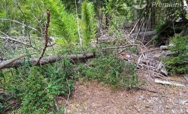 Parcela en Venta en Parcelación Valle Escondido, sector Las Peinetas